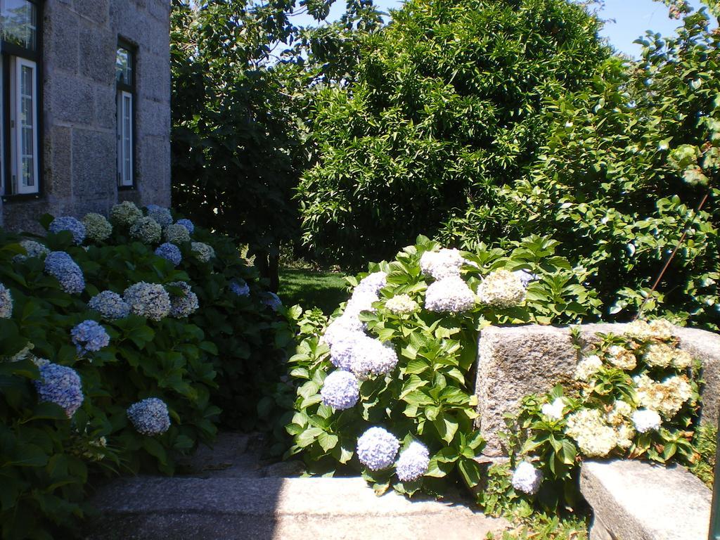 Casa Das Vendas Стая снимка